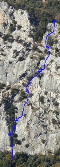 [Via dell 20° anniversario]