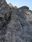 [Vallaccia-Torre della Vallaccia-Via della vera Solidarietà]