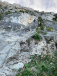 [Monte Gallo - Pizzo Sella - Via per la diversità]